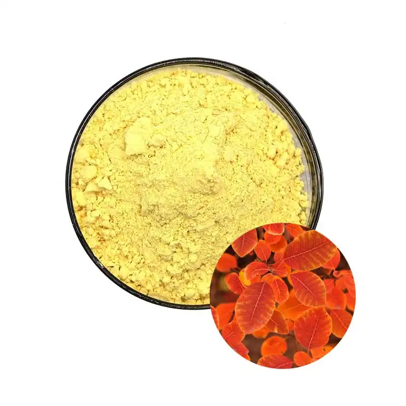 Fisetin Powder Bulk vs Pterostilbene: Comparison for Supplement